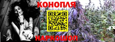 таблы Новокубанск